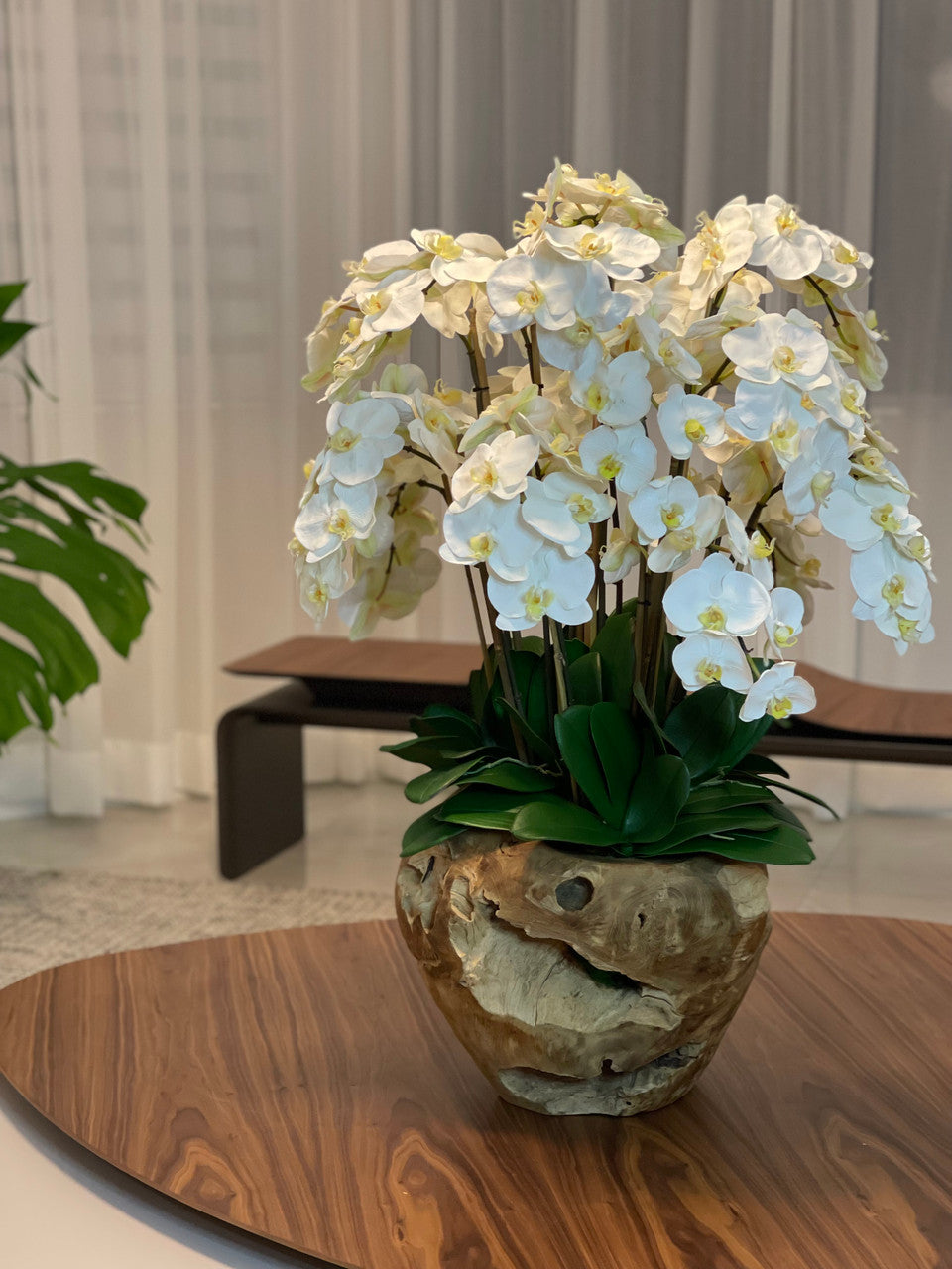 Arreglo de Orquídeas Phalaenopsis Blancas en Cuenco de Teak Hecho a Mano
