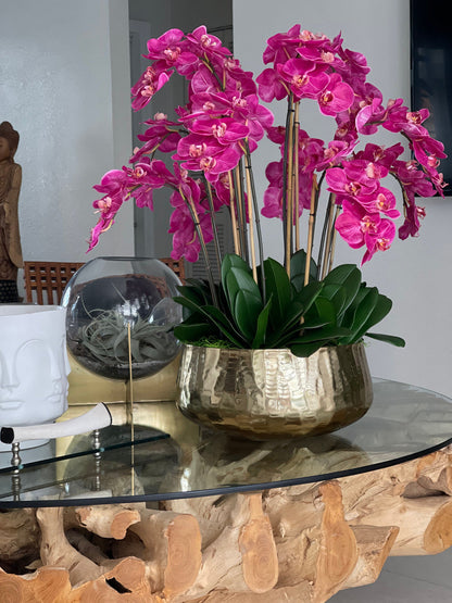 Arreglo de Orquídea Phalaenopsis Rosa en Maceta Dorada