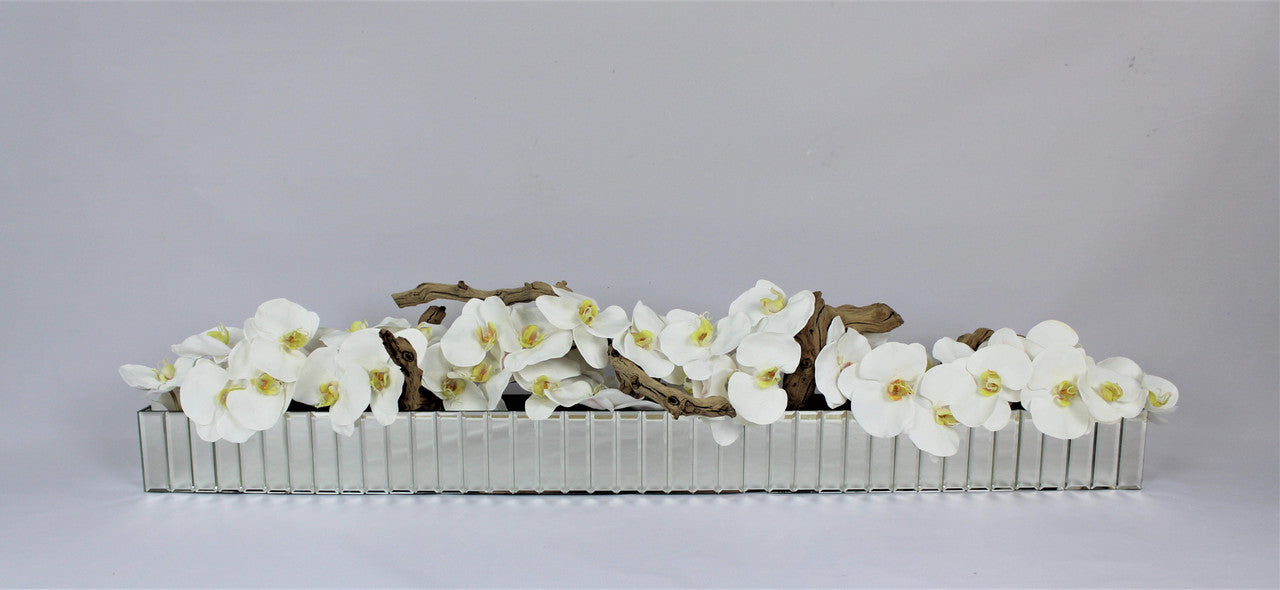 Orquídeas Phalaenopsis Blancas en Maceta Espejada Dazzle