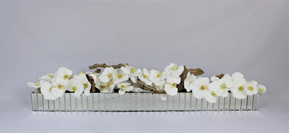 Orquídeas Phalaenopsis Blancas en Maceta Espejada Dazzle