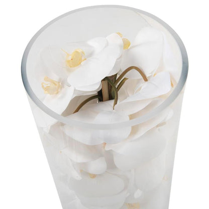 Arreglo de Orquídeas Phalaenopsis Blancas en Cilindro de Vidrio Soplado a Mano
