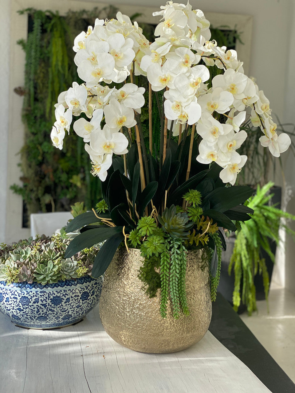 Arreglo de Orquídeas Phalaenopsis Blancas en Maceta Dorada Delany