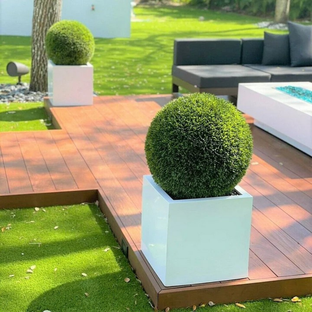 Macetero de Fibra de Vidrio Grande con Topiario de 20”