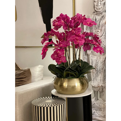 Orquídeas Phalaenopsis Rosadas en Tazón Bowie Dorado