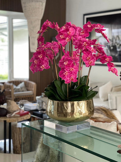 Arreglo de Orquídea Phalaenopsis Rosa en Maceta Dorada