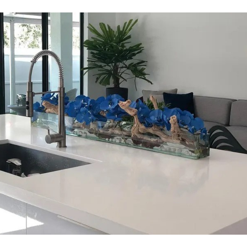 Orquídeas Phalaenopsis Azules en Plato de Vidrio Casa Moderna