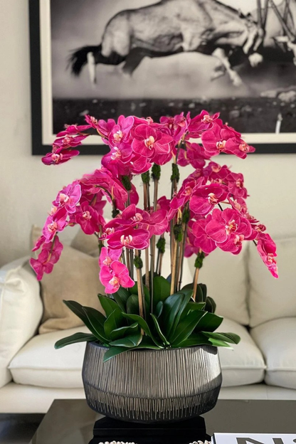 Cuenco Java con Orquídeas Phalaenopsis Rosadas