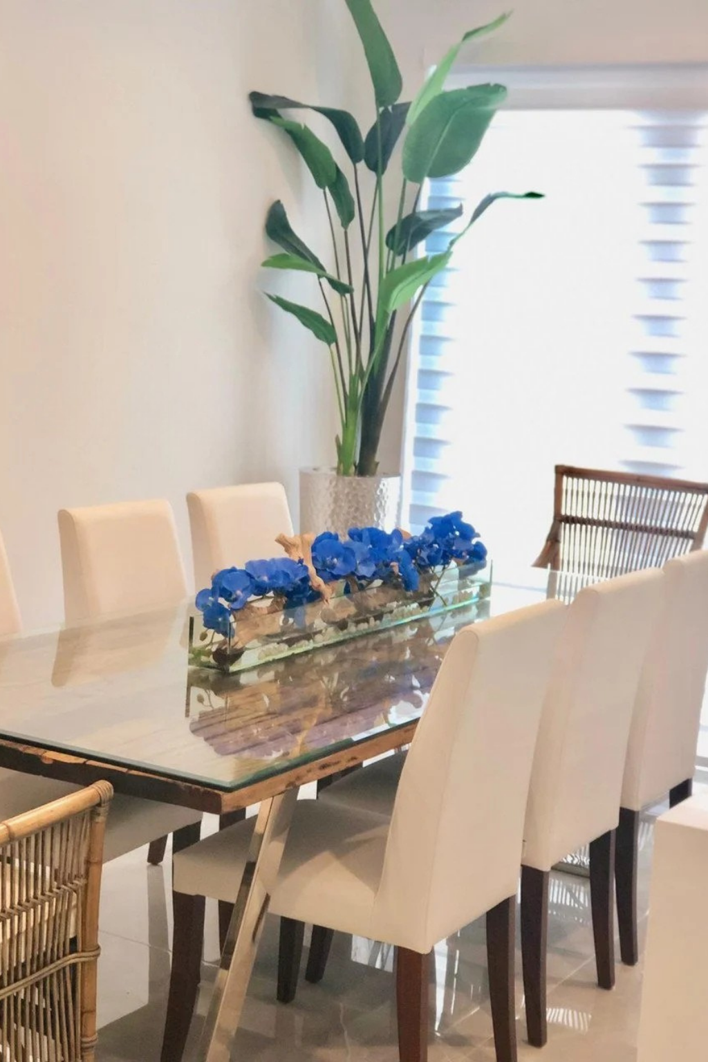Orquídeas Phalaenopsis Azules en Plato de Vidrio Casa Moderna