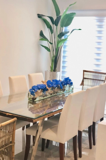Orquídeas Phalaenopsis Azules en Plato de Vidrio Casa Moderna