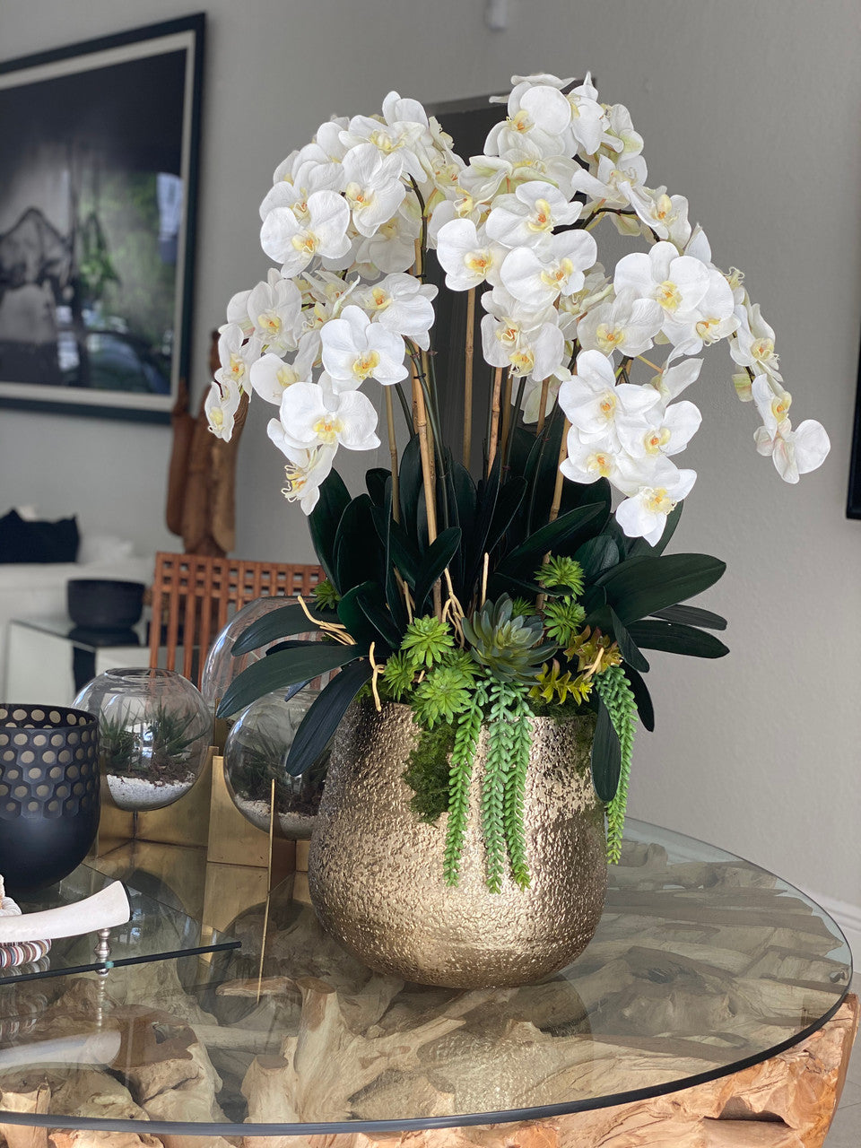 Arreglo de Orquídeas Phalaenopsis Blancas en Maceta Dorada Delany