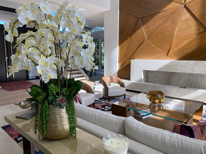 Arreglo de Orquídeas Phalaenopsis Blancas en Maceta Dorada Delany