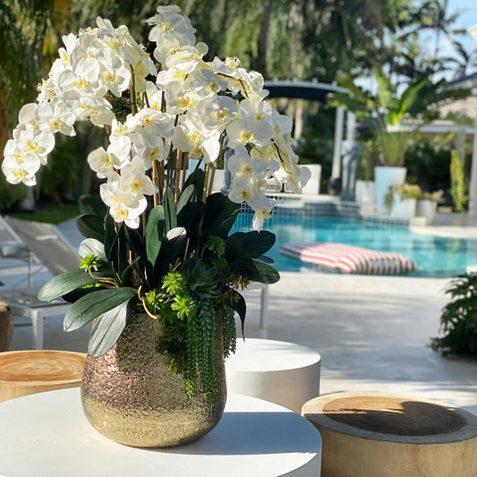 Arreglo de Orquídeas Phalaenopsis Blancas en Maceta Dorada Delany