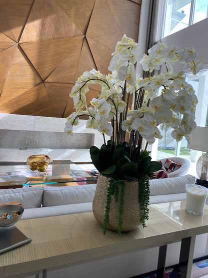 Arreglo de Orquídeas Phalaenopsis Blancas en Maceta Dorada Delany