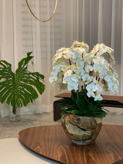 Arreglo de Orquídeas Phalaenopsis Blancas en Cuenco de Teak Hecho a Mano