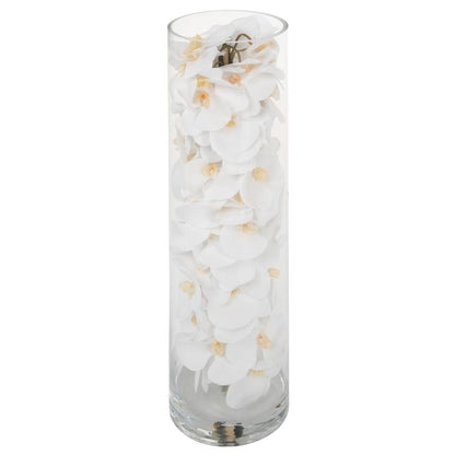 Arreglo de Orquídeas Phalaenopsis Blancas en Cilindro de Vidrio Soplado a Mano