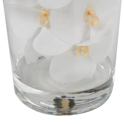 Arreglo de Orquídeas Phalaenopsis Blancas en Cilindro de Vidrio Soplado a Mano