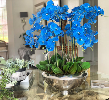 Arreglo de Orquídeas Phalaenopsis Azules en Cuenco de Musgo Plateado