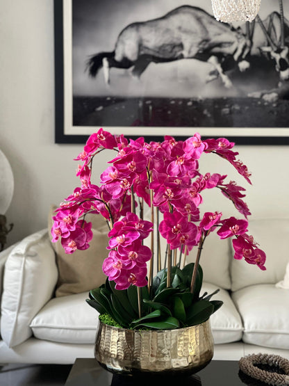 Arreglo de Orquídea Phalaenopsis Rosa en Maceta Dorada