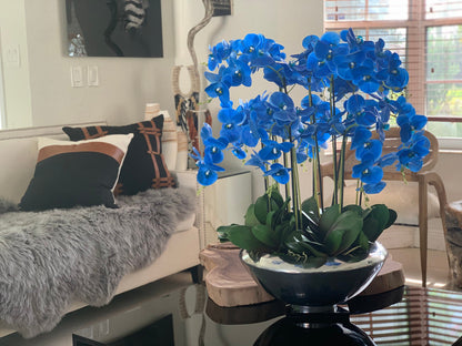 Arreglo de Orquídeas Phalaenopsis Azules en Cuenco de Musgo Plateado