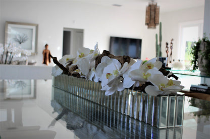 Orquídeas Phalaenopsis Blancas en Maceta Espejada Dazzle