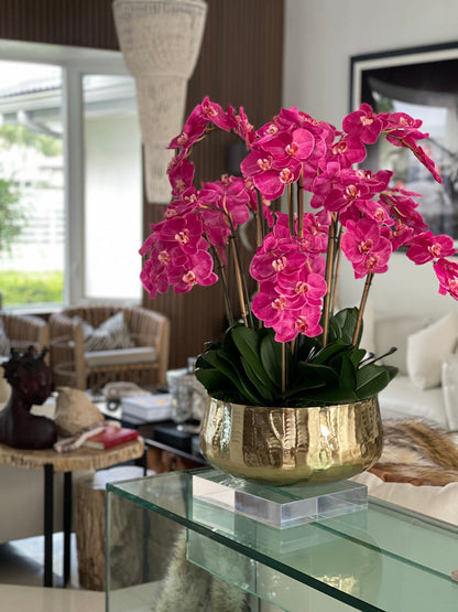 Arreglo de Orquídea Phalaenopsis Rosa en Maceta Dorada