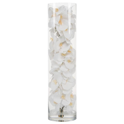 Arreglo de Orquídeas Phalaenopsis Blancas en Cilindro de Vidrio Soplado a Mano