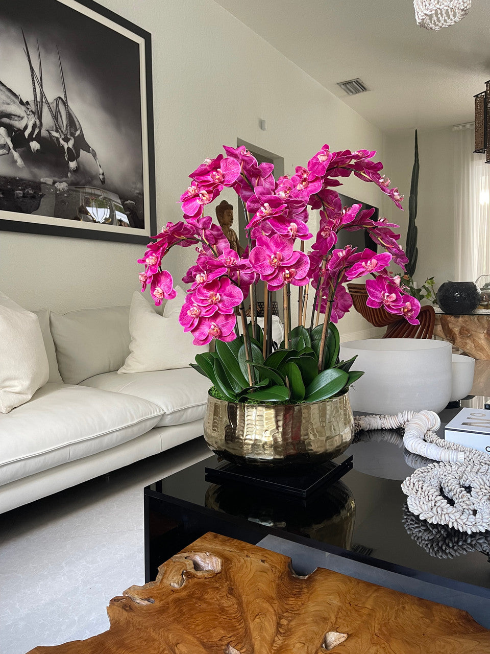 Arreglo de Orquídea Phalaenopsis Rosa en Maceta Dorada