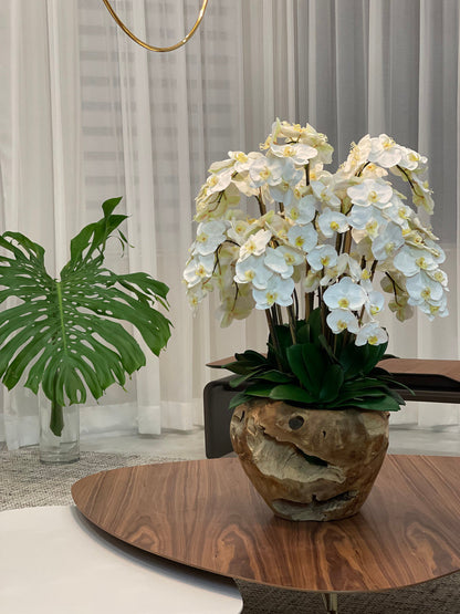 Arreglo de Orquídeas Phalaenopsis Blancas en Cuenco de Teak Hecho a Mano