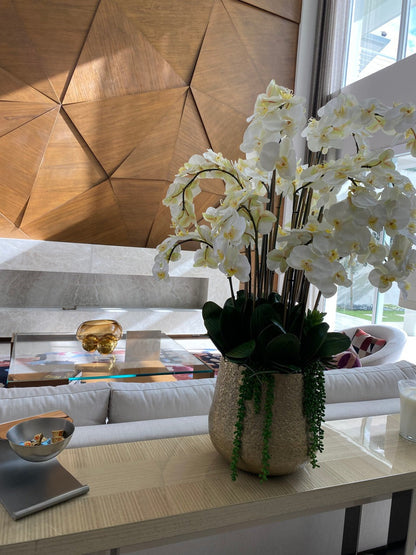 Arreglo de Orquídeas Phalaenopsis Blancas en Maceta Dorada Delany