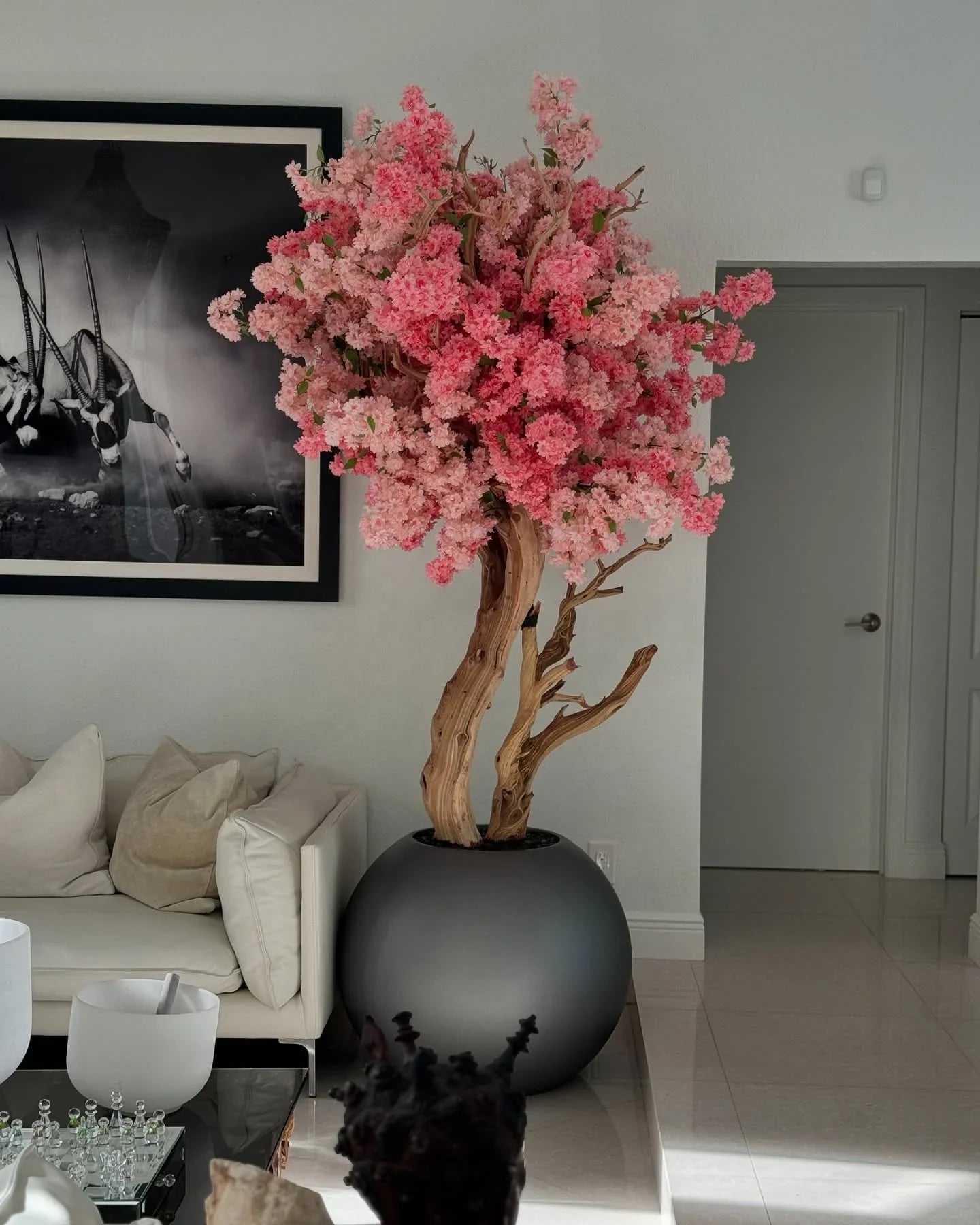 Árbol de Flor de Cerezo en Globo Mate